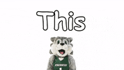 Suny Binghamton GIF by Binghamton University