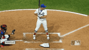 Ny Mets Sport GIF by New York Mets