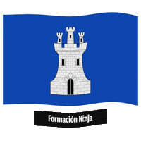 Comunidad Valenciana Bandera Sticker by Formación Ninja