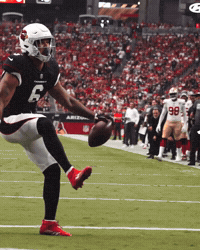 Celebrate Deandre Hopkins GIF by Arizona Cardinals