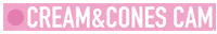 Camera Cam Sticker