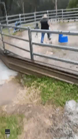 Father Plays With Kids in Family's Flooded Horse Arena