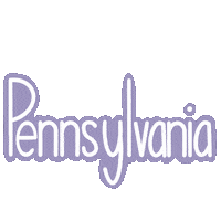 States Usa Sticker