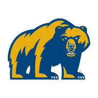 Golden Bear Sticker by WVU Tech Golden Bears