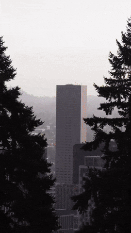 Japanese Garden Portland GIF by EDGARDUDE