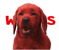 Whats Up Hello Sticker by Clifford Movie