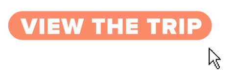 View The Trip Sticker by Intro Travel