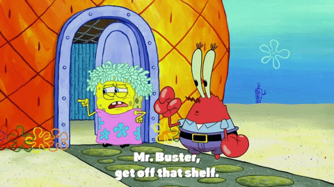season 9 sanctuary GIF by SpongeBob SquarePants