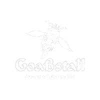 Home Ski Sticker by Hexenhäusl