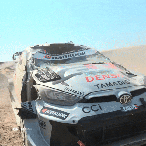 Saudi Arabia Motorsport GIF by FIA World Rally Championship