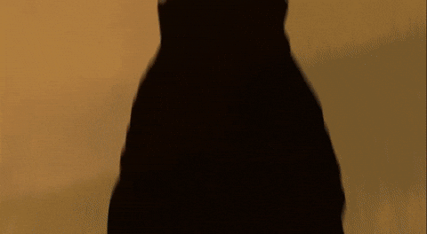 Superstar Rajinikanth Title Card GIF by RajiniGifs