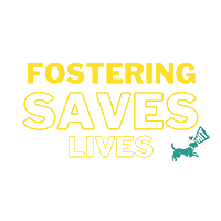 Foster Fosteringsaveslives Sticker by HIT Living Foundation