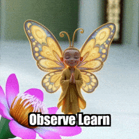 Wisdom Observation GIF by BuddhaFlyJourney