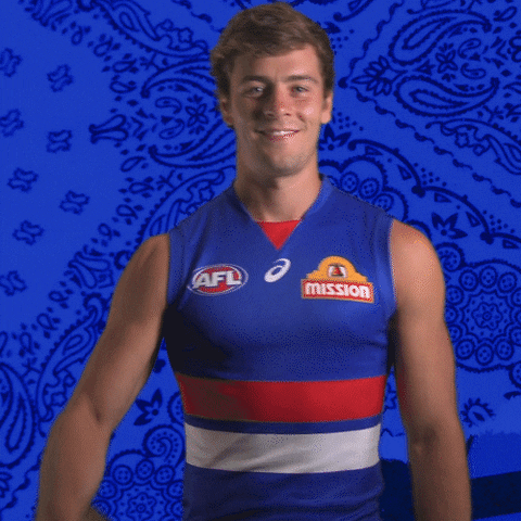 Aussie Rules Football Dogs GIF by Western Bulldogs