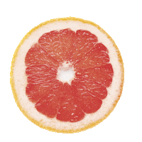 Comida Grapefruit Sticker by TROJKA Vodka