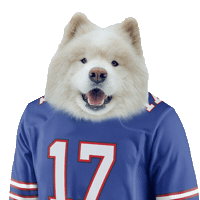 Joshallen Eating Sticker