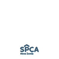 Cats Dogs Sticker by Nova Scotia SPCA