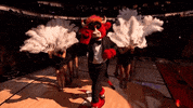 chicagobulls sports sport nba chicago bulls GIF