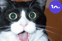 Crypto Reaction GIF by Lockness