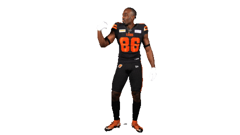 British Columbia Football Sticker by BC Lions