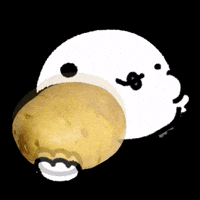 baepsae_kim bird potato 선물 감자 GIF