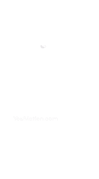 Animation Wave Sticker by youmotion.com