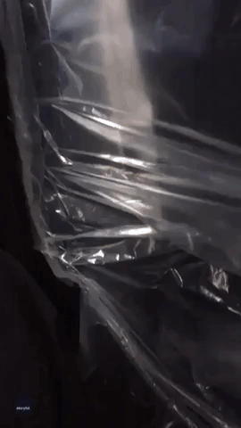 'Taking No Chances': London Cabbie Tapes Up Plastic Sheet in Car to Ward Off Coronavirus