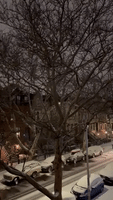 East Coast Storm Covers Brooklyn Neighborhood in Snow