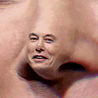 Elon Musk Lol GIF by Feliks Tomasz Konczakowski