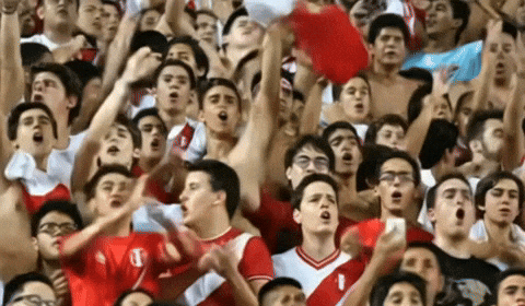World Cup Soccer GIF