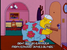 homer simpson GIF