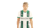 Borussia Moenchengladbach What Sticker by Bundesliga
