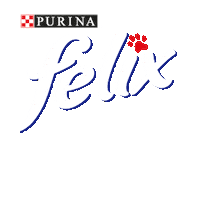 Cat Netflix Sticker by Purina Italia