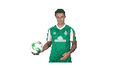 Marco Friedl Bundesliga Sticker by SV Werder Bremen