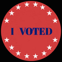 PLUimpact trump vote politics election GIF