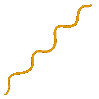 Stories Onda Sticker