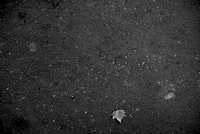 Paatrice chalk craie paatrice ouature GIF