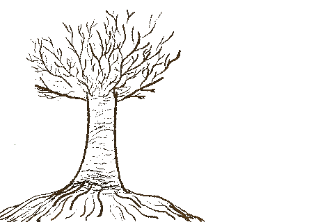 Sun Growing Sticker by BVK Students Hannover