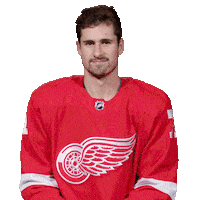 Ice Hockey No Sticker by Detroit Red Wings