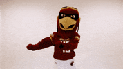 Ace Ulm GIF by University of Louisiana Monroe