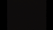 bbl hta GIF by Half The Animal
