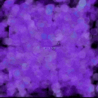 rare gifs GIF