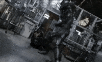 Kamen Rider Kotaro Minami GIF