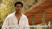 Prince Charming Yes GIF by ABC Network
