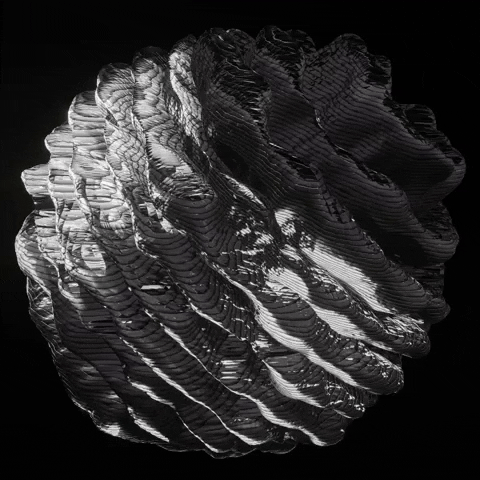 VeletaStudioLab giphygifmaker veletastudiolab GIF