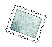 longwknd summer water beach stamp Sticker