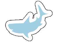 longwknd summer water skincare shark Sticker