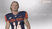 Cnfb GIF by Carson-Newman Athletics