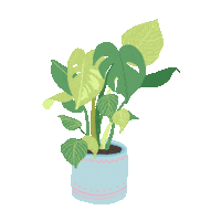 Plant Leaves Sticker