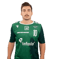 RimparerWoelfe handball wolf 10 mustache Sticker